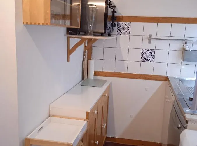 Le Sancy, T2, 4 Pers, Centre Du Dore