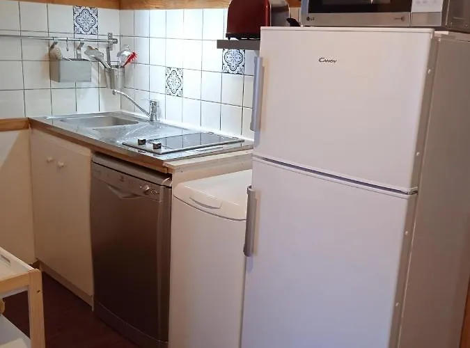 Le Sancy, T2, 4 Pers, Centre Du Dore Apartment *